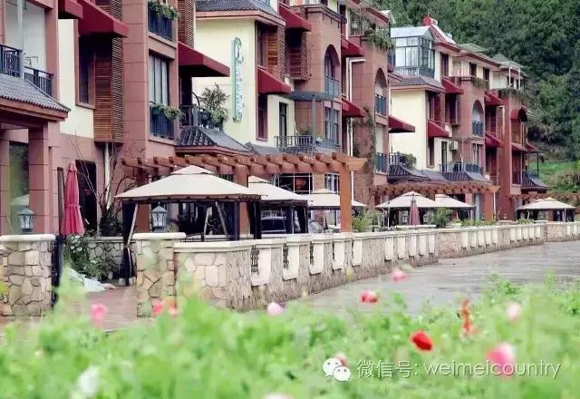 游西湖有什么民宿推荐,西湖边最美民宿推荐