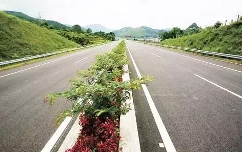 珠海金湾哪个镇更有发展前景,珠海金湾区是不是很偏