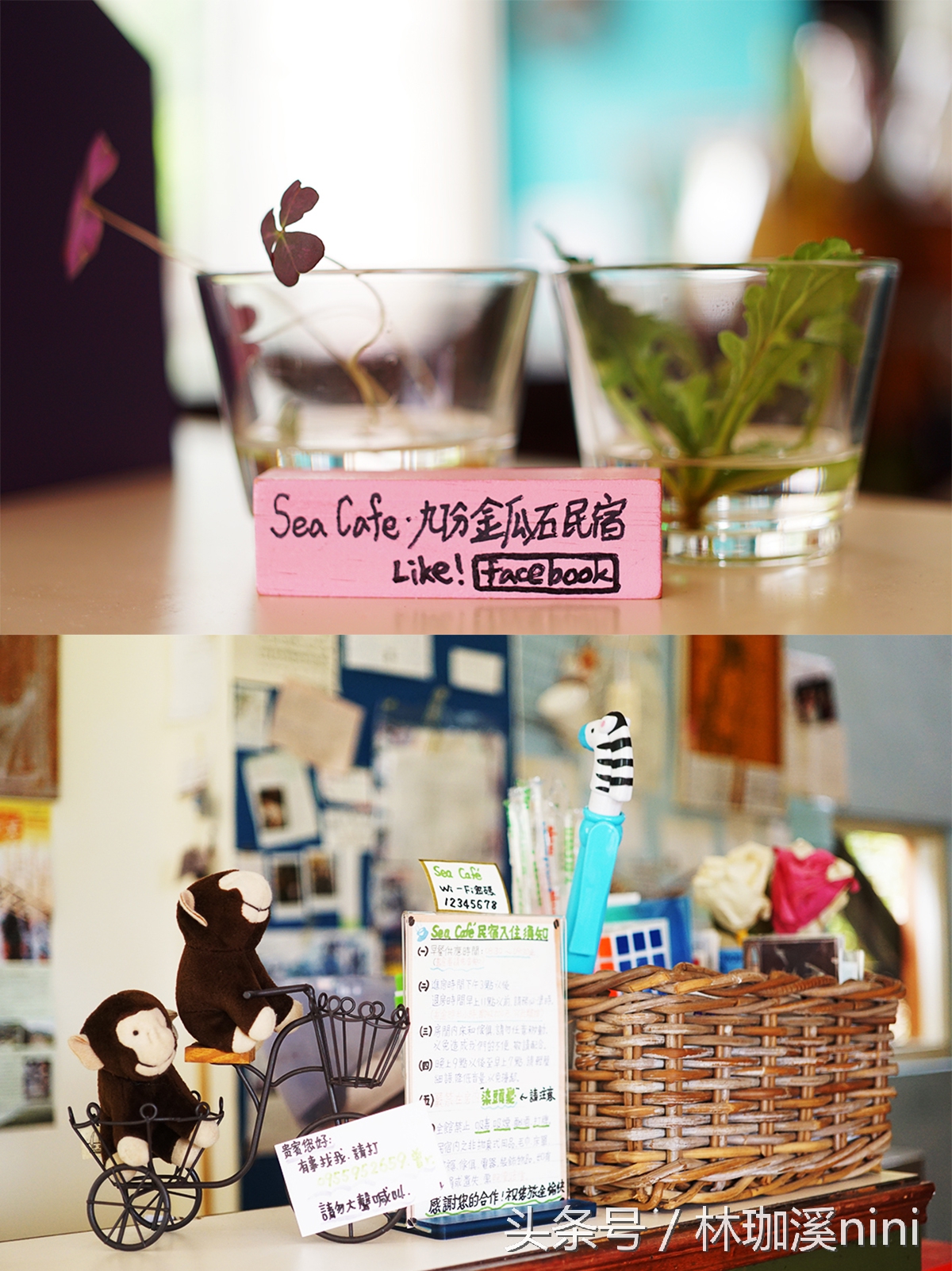 带ni去旅行|台湾三人行——闺蜜照就这么拍