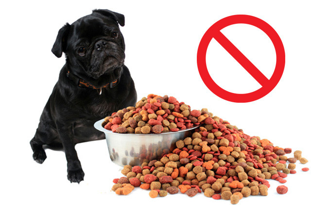 狗狗拉肚子吃什么药见效,家里狗狗拉的屎太臭了怎么办