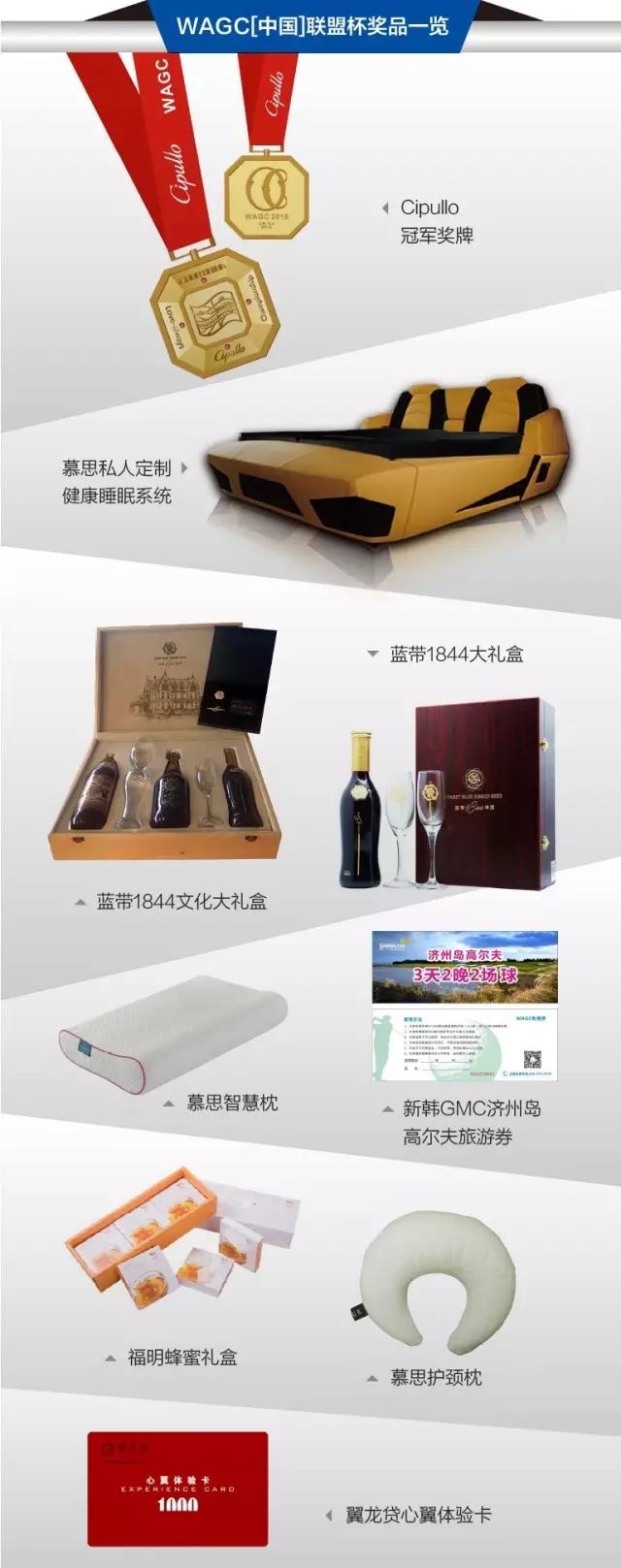 2016翼龙贷WAGC（中国）联盟杯云南E战队高尔夫球队夺冠