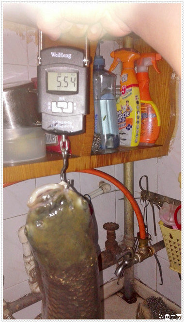 大雨一直下在鱼塘怎么钓草鱼,下大雨水库好钓草鱼吗