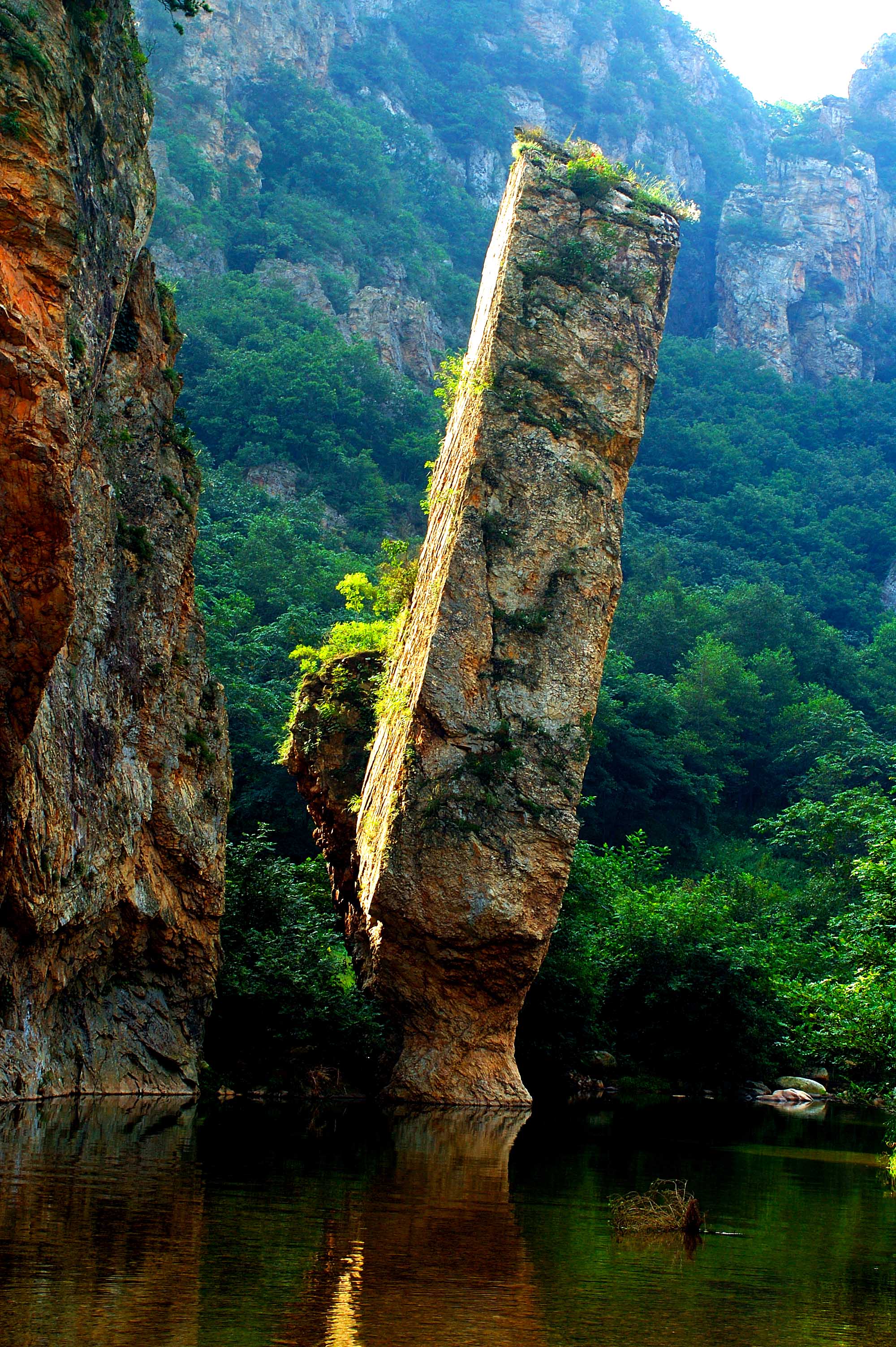 珍稀水源地,大连野生珍稀植物