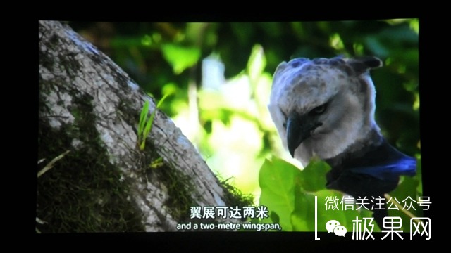 投影仪功能太强大,隔空操控黑科技