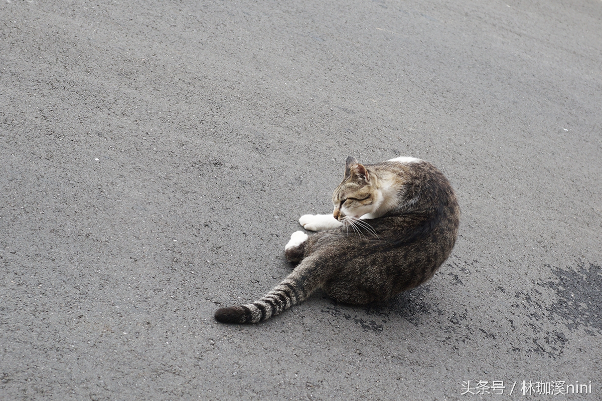 带ni去旅行|台湾三人行——闺蜜照就这么拍