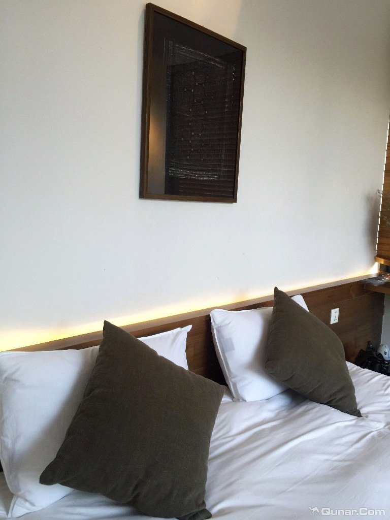 大理无花果好去处,大理路边大叶无花果