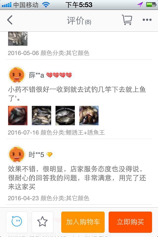 钓鱼小药鲤鱼王,钓鱼王小药饵料