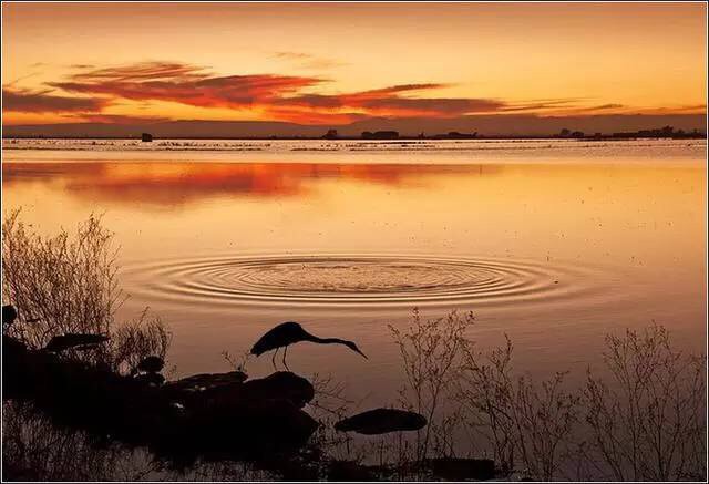 佛教中的佛学词汇,佛学常用术语