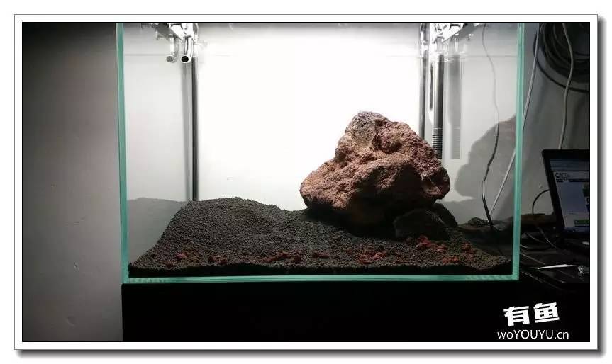 新手小白原生缸开缸教程,鱼缸怎么用高锰酸钾开缸详细教程