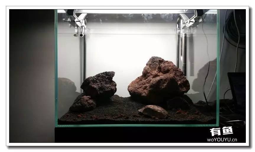 新手小白原生缸开缸教程,鱼缸怎么用高锰酸钾开缸详细教程