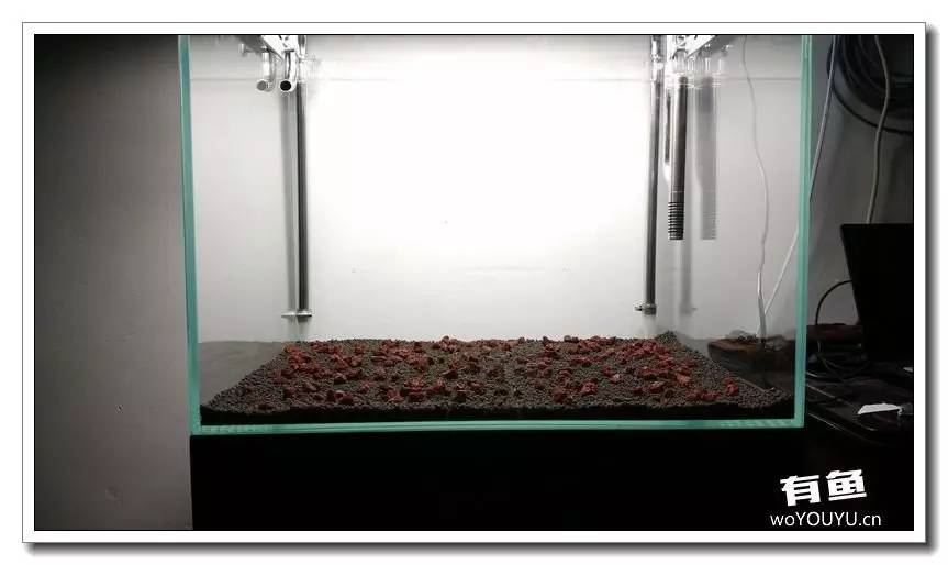 新手小白原生缸开缸教程,鱼缸怎么用高锰酸钾开缸详细教程