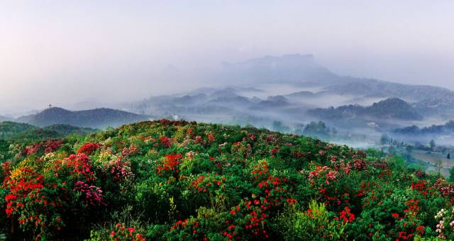 成都自驾贵州广西深度游攻略,江西去贵州自驾旅游攻略图