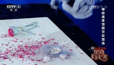 加油向未来的威力,加油向未来涉及物理知识