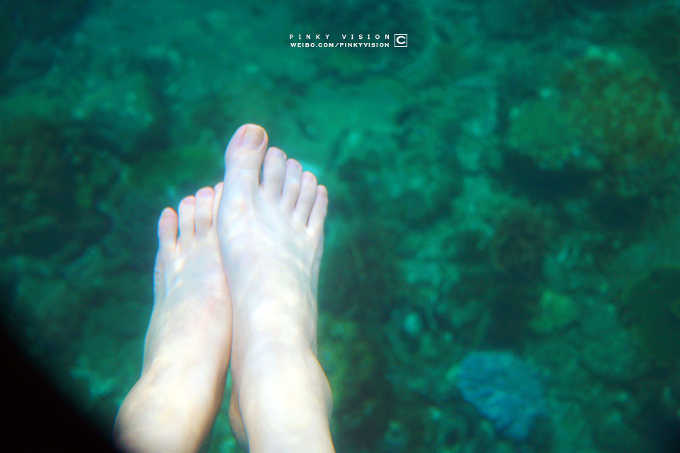 travel环球旅行,travel新旅行