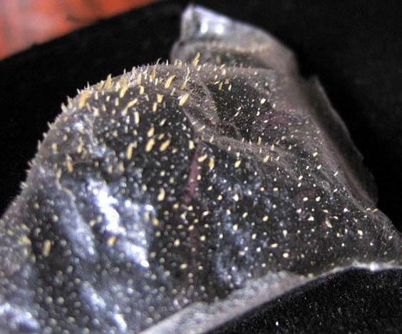 牙膏和小苏打一起用可以去黑头吗,为什么去黑头要纯白牙膏