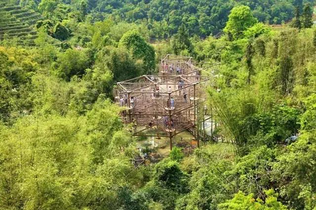 深圳东部华侨城游玩和消费,深圳东部华侨城详细攻略