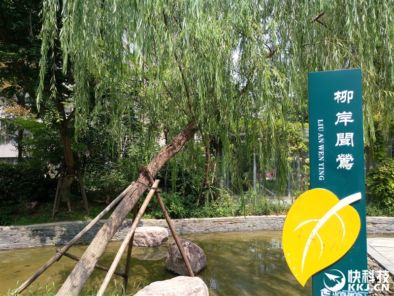 魅族mx6现在还值得买吗,1999魅族mx6