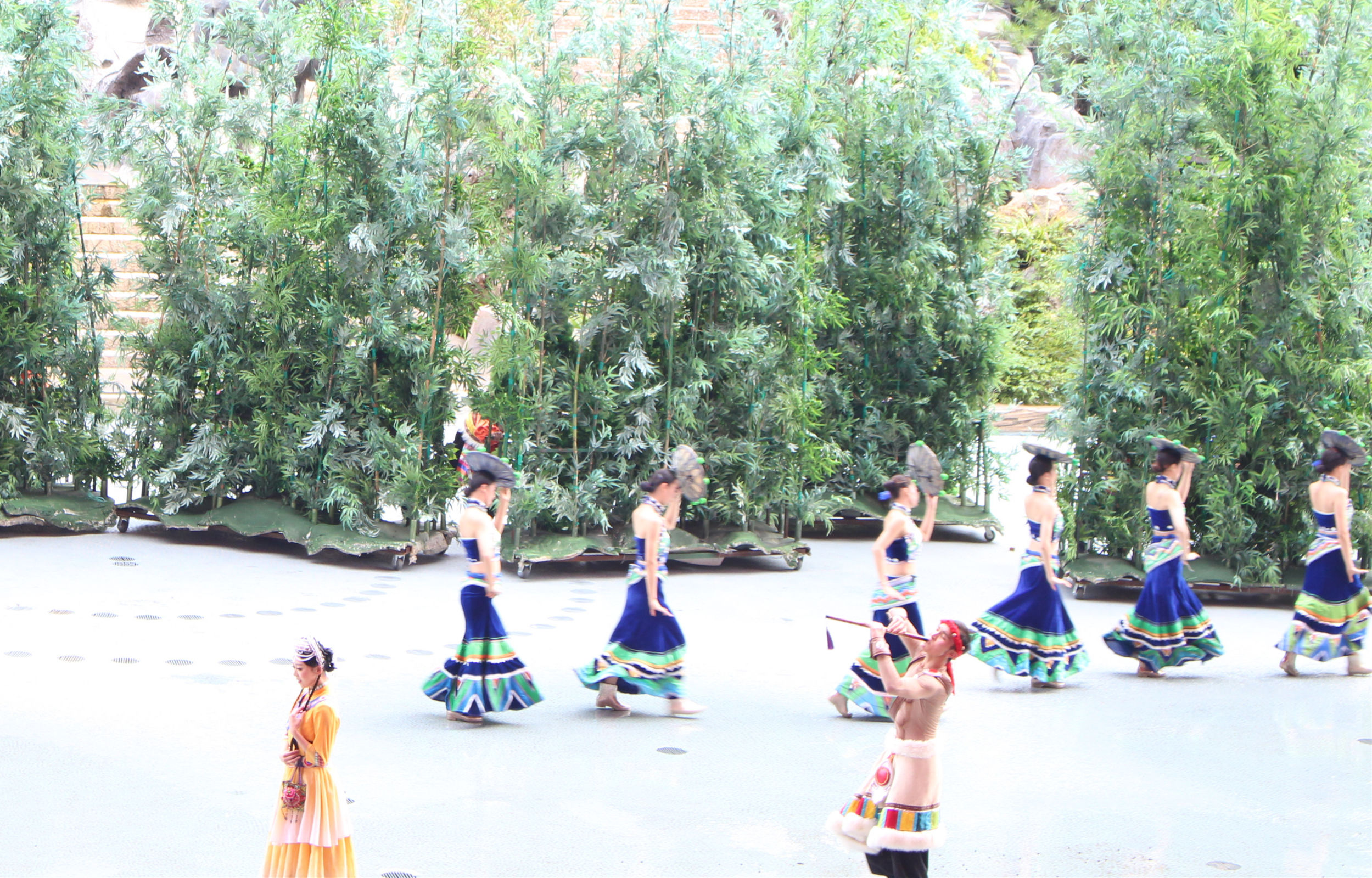 忘记艳遇,百变丽江,仅用一天,赴那千年之约