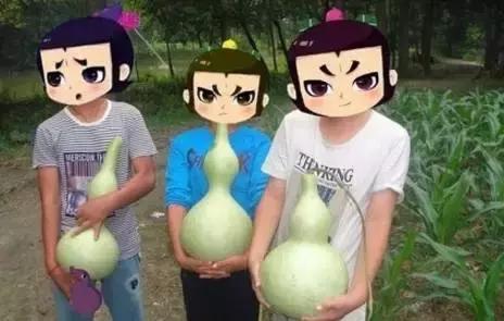 葫芦娃你真的看懂了吗,你知道葫芦娃为什么都长的一样吗