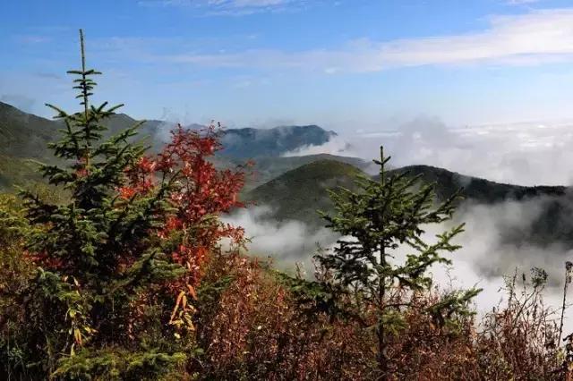 固原摄影风景,宁夏固原唯一印象摄影