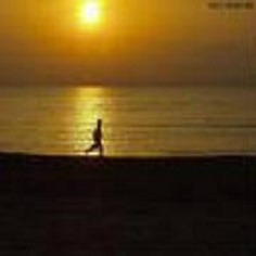 独行者,独行侠队