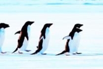 宝宝身高不达标是什么情况,宝宝偏瘦偏矮是什么情况导致的