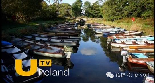 朝闻视界最新一期,朝闻视界