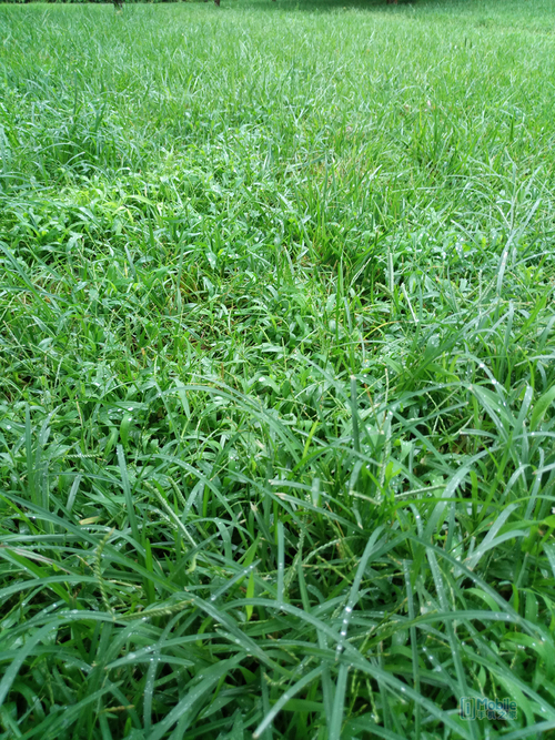 <html>
<head><title>502BadGateway</title></head>
<body>
<center><h1>502BadGateway</h1></center>
<hr><center>nginx</center>
</body>
</html>
<!--apaddingtodisableMSIEandChromefriendlyerrorpage-->
<!--apaddingtodisableMSIEandChromefriendlyerrorpage-->
<!--apaddingtodisableMSIEandChromefriendlyerrorpage-->
<!--apaddingtodisableMSIEandChromefriendlyerrorpage-->
<!--apaddingtodisableMSIEandChromefriendlyerrorpage-->
<!--apaddingtodisableMSIEandChromefriendlyerrorpage-->
