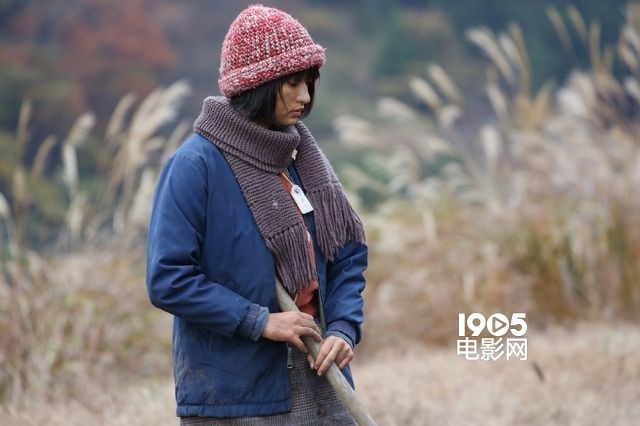 太阳曝光照,太阳照曝光