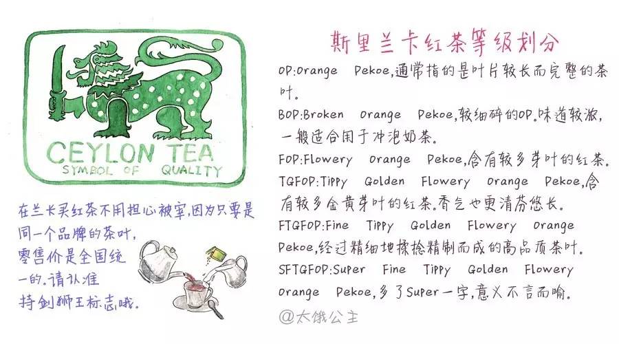 斯里兰卡最不可思议的景点,深度揭秘斯里兰卡