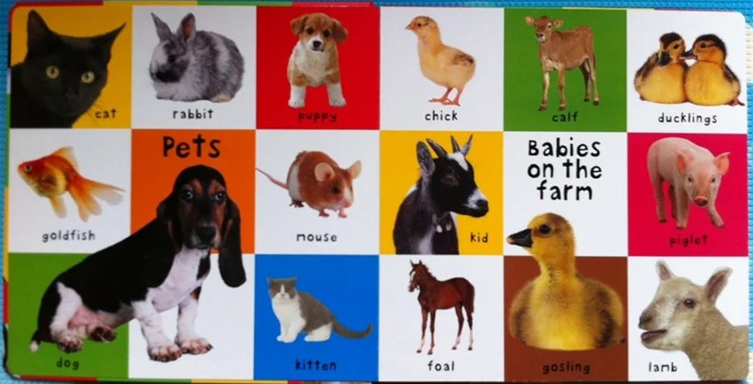 适合儿童读的英语书推荐,1岁宝宝读100本书