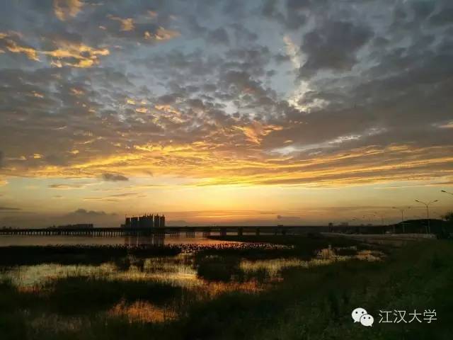 姹熷ぇ缇庢櫙,濮滃ぇ缇庝附