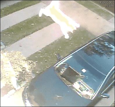 新买的女朋友又漏气了，质量不行啊，莫非是买到了山寨货？