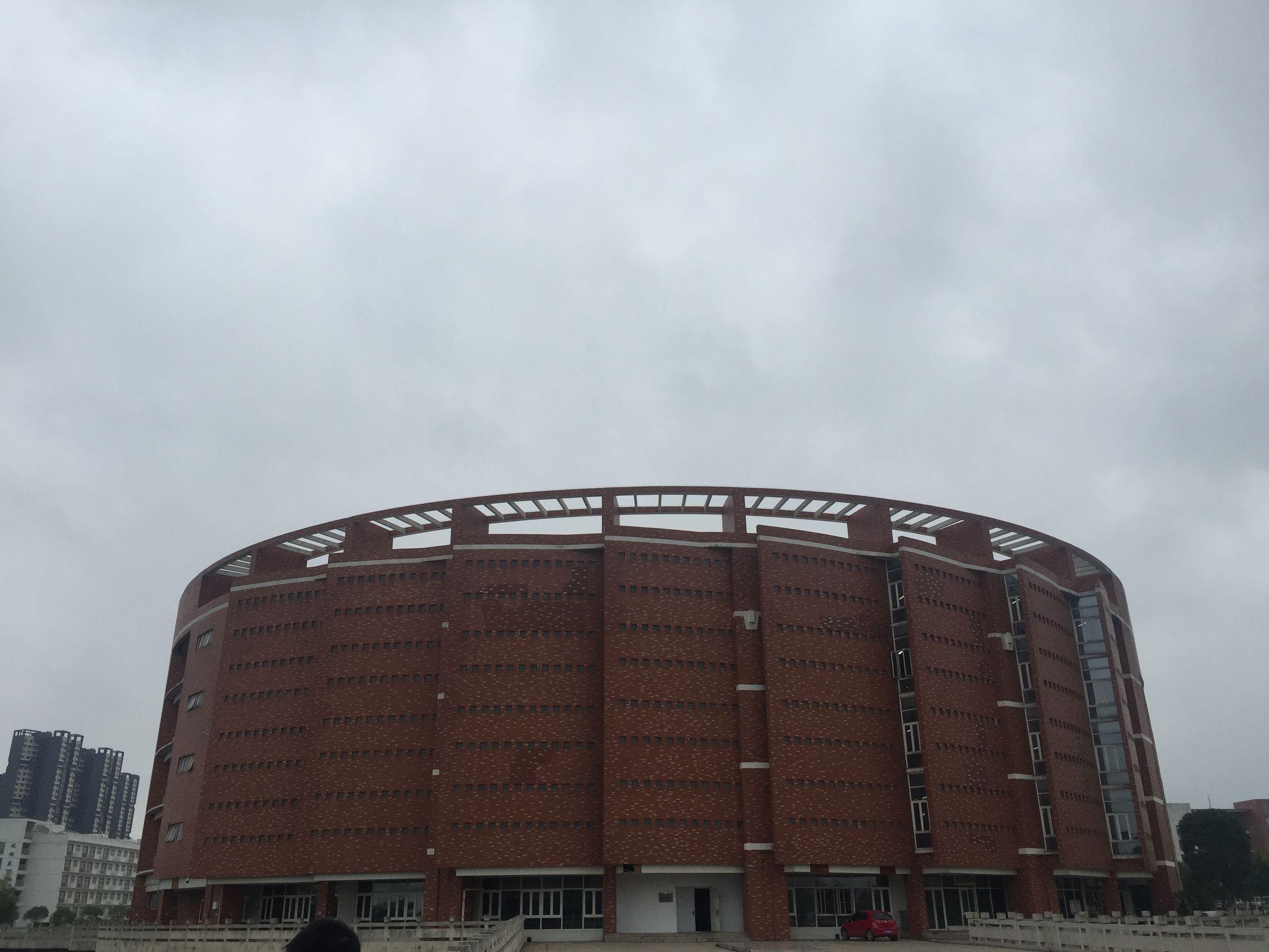 武汉商学院友情,武汉商学院玫瑰花