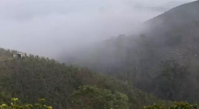 红军精神照我行——花甲老人100公里越野跑全记录