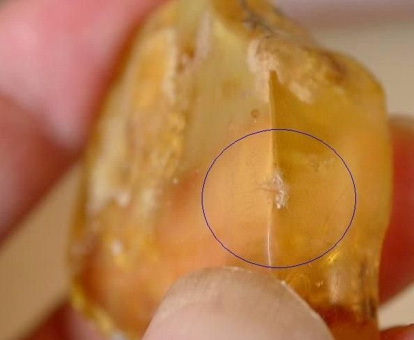 一般仿制蜜蜡的是什么东西,从哪几个方面鉴定蜜蜡的好坏