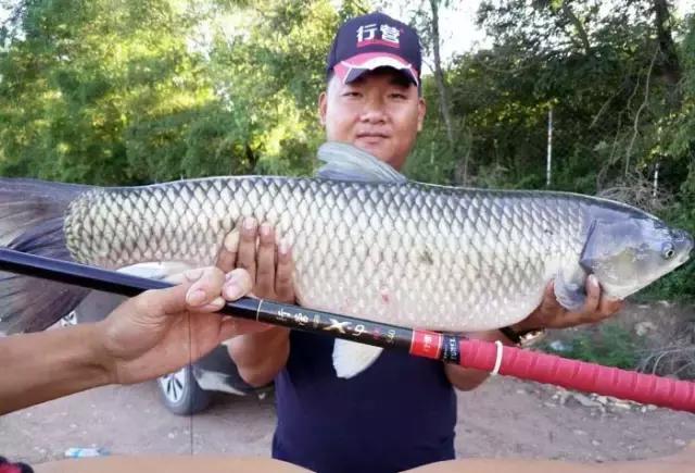 《渔获战报》大青鱼爆连引发的连环事件