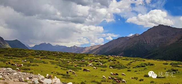 在这个SUV主导的地盘新锐腾用十项全能去挑战