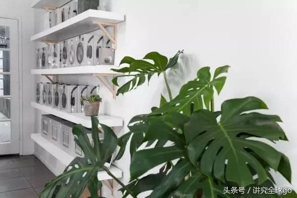 它们不仅是音响，还“贩卖”声音的感觉