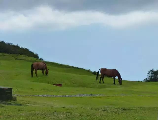 济州岛对中国一直免签吗,济州岛是对全球免签的吗