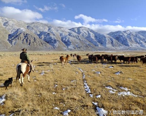 深泉学院，世界上最神秘大学，每年只招13人，但不是你想的那样