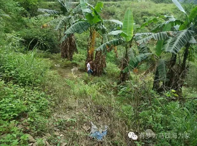 亚洲第一跨国大瀑布，淘宝掌柜环游旅行第十九集