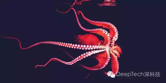 将iPhone拉伸5倍的全新科技，章鱼哥来帮你实现！