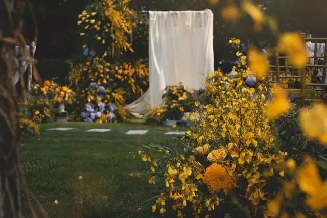 森系婚礼案例,独一无二的浪漫森系婚礼