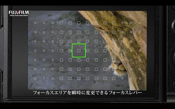 2019年全画幅相机哪款值得买,2019非全画幅单反相机推荐