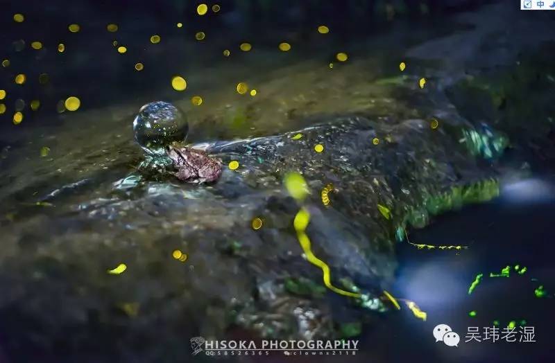 水晶球的风水作用,水晶球真的有那么好吗