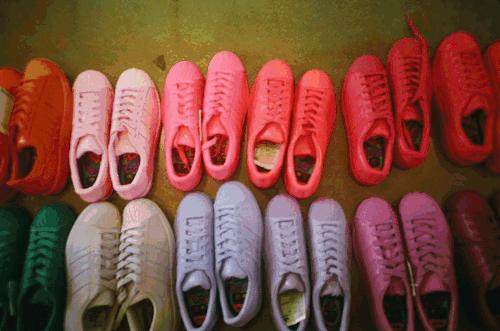 丸丸被妈妈忽悠,丸丸被妈妈忽悠现场