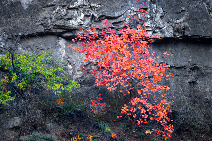 爨底下周边景区,爨底下村风景区怎么游