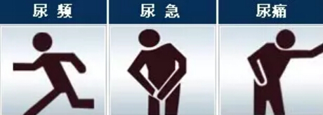 治疗尿频的国家级名老中医,尿急尿频夜尿多中医辨证论治