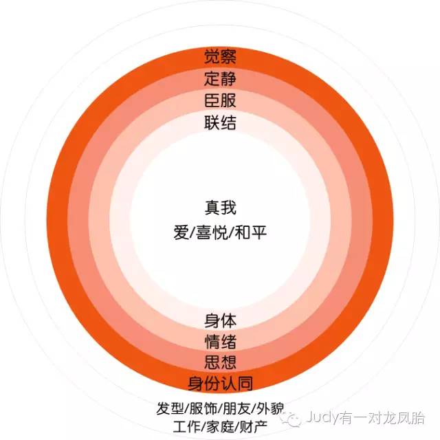 龙凤胎怎么形成,龙凤胎是怎么生出来的动画